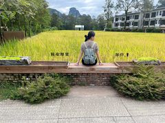 -明仕田园