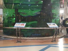 -尚泰清迈机场购物中心