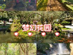 -莫里热带雨林景区