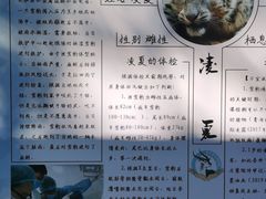 -青藏高原野生动物园