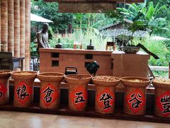 -三宝别院·村宴