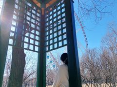 -哈尔滨文化公园