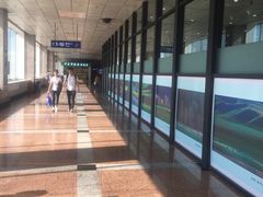 -哈尔滨太平国际机场