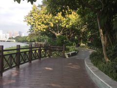 -南宁南湖公园