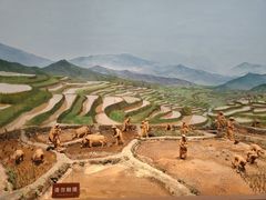 -中国农业博物馆