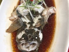 -碧丽宫大酒店(召稼楼店)