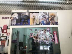 -沐沐家宠物(成寿寺店)