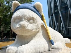 -深圳湾万象城(南山店)