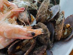 -渔家小院观海海肠捞饭地方菜(环海中路店)