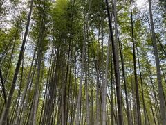 -同里国家湿地公园