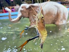 -光头佬钓虾场·烧烤·聚餐·亲子(金沙洲店)