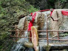 -天女山森林公园