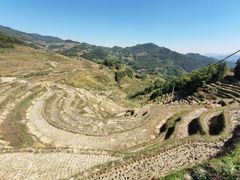 -紫鹊界梯田景区
