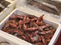 -芦潮港集贸市场