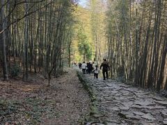 -仙霞关景区