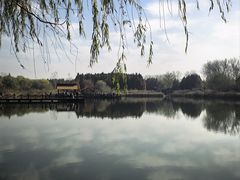 -溱湖国家湿地公园