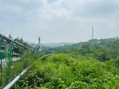 -白水寺森林公园