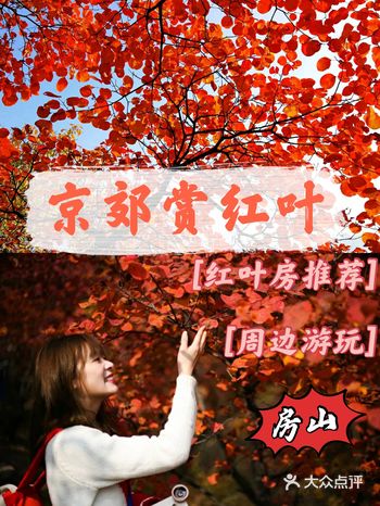 北京赏红叶丨走进房山坡峰岭享秋日浪漫