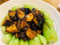 -台北楚楚园馅饼粥(虹桥南丰城店)