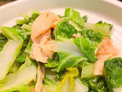 小白菜炒腐竹-苏帮袁Sue Cuisine(南开大悦城店)