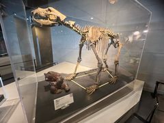 -北京周口店北京人遗址博物馆