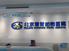 -北京观赏动物医院·24小时大型综合·猫专科·异宠专科
