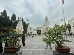 -西宁市东关清真大寺