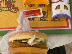 -麦当劳(塔园路店)