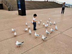 -悉尼歌剧院