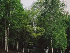 景点-长春世界雕塑园冰雪艺术天地