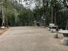 -滴水岩森林公园