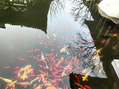 -西安华清御汤酒店