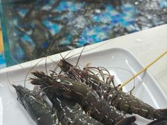-养牛邓·潮汕牛肉海鲜自助火锅(广州店)