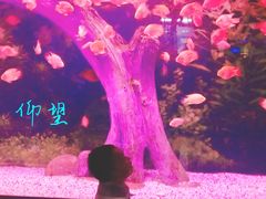 -常州海昌海洋探索馆