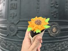 -护国法轮寺