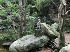 -王顺山国家森林公园
