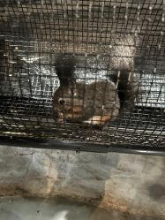 -Zoolung Zoolung动物主题公园(海信广场店)