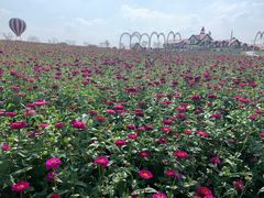 -歌斐颂巧克力小镇