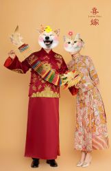 -喜柿摄影·XISHI IMAGE(和平店)