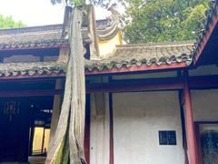 -太平天国侍王府