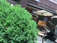 -Simple Yummy简单美味(上邦百汇城店)