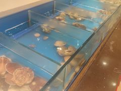 水产区-火舞泰·泰式海鲜火锅餐厅(世纪城店)