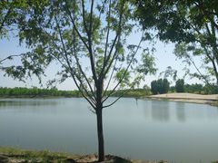 -东郊湿地公园