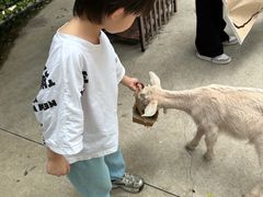 -史努比缤纷世界
