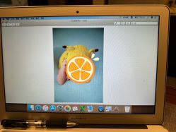 -西瓜庄园儿童摄影