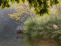 -重庆彩云湖湿地公园