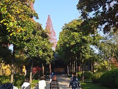 -太平天国侍王府