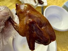 -石岐鸽师傅餐厅(石岐总店)
