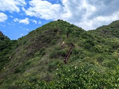 -大岭沟猕猴桃谷风景区