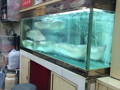 -文辉墨鱼丸大王(铜锣湾渣甸街总店)